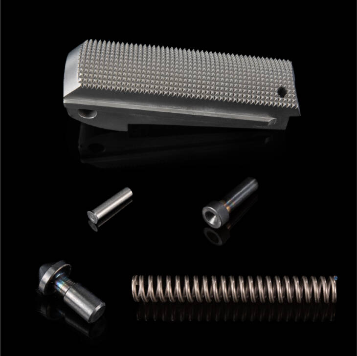 Main Spring Housing Kit